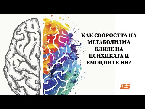 Видео: Как скоростта на метаболизма влияе на психиката и емоциите ни?
