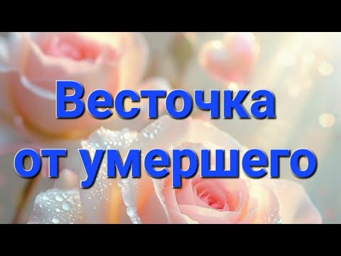 Видео: ✨️✨️ Весточка от умершего, от ушедшей в мир иной Души ✨️ 🕊 ✨️ 🕊 