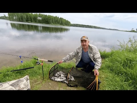 Видео: Рыбалка на Рузском водохранилище на фидер.