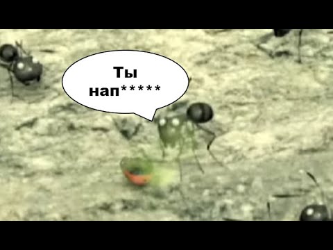 Видео: То что не замечаешь при первом просмотре... (116 часть)