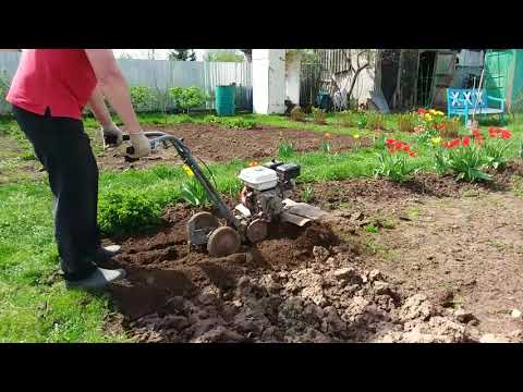 Видео: Мотокультиватор Крот. Как правильно культивировать. Советы новичкам