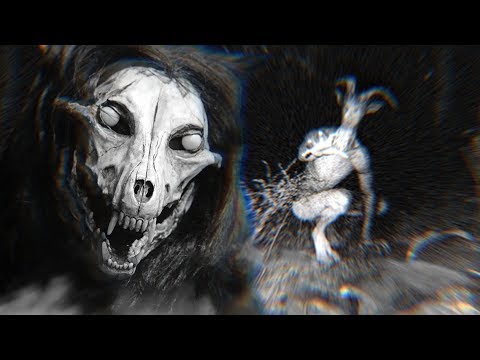 Видео: ЖУТКОЕ ЯВЛЕНИЕ, КОТОРОЕ НЕ МОГУТ ОБЪЯСНИТЬ