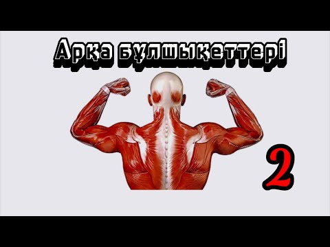 Видео: Арқа бұлшықеті, Арқаның терең орналасқан бұлшықеті, бұлшық ет.