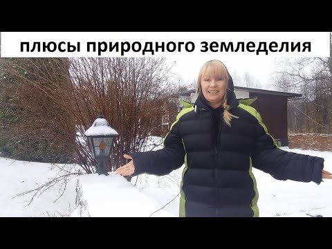Видео: Плюсы природного земледелия.