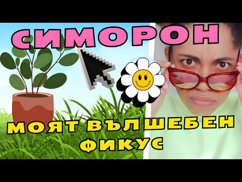 Видео: Симоронски практики: Моят вълшебен фикус/Simoron practices: My magical Ficus🪴