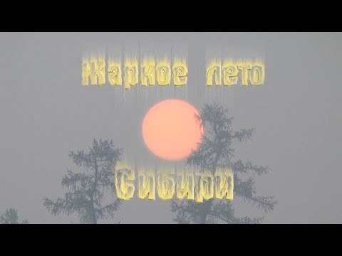 Видео: Жаркое лето Сибири