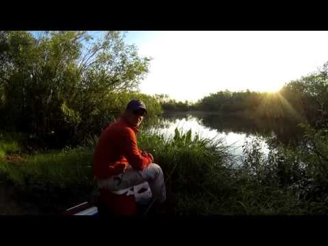 Видео: С Фидером на Ясельде.