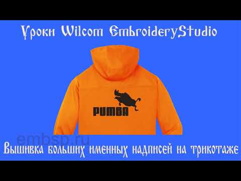 Видео: Вышивка на трикотаже  от Демина Сергея (СП) Wilcom EmbroideryStudio e4.2