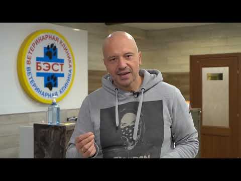 Видео: Патентология в Новосибирске, часть 2