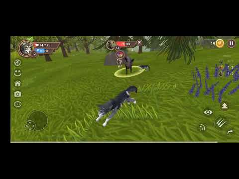 Видео: 20 жовтня 2025 р.