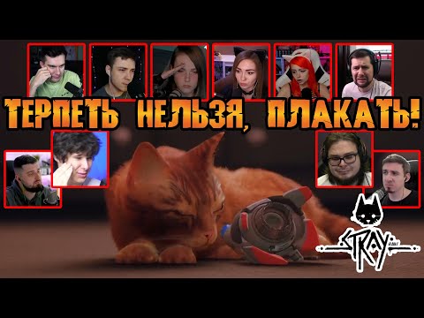 Видео: Реакция Летсплейщиков на Очень Грустную Сцену в Финале Stray