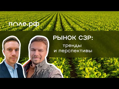 Видео: Современный рынок СЗР: глобальные тренды и отечественная практика