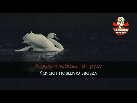 Видео: Я куплю тебе дом караоке. Лесоповал