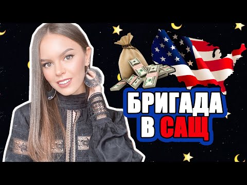 Видео: БРИГАДА: ИЗКАРАХ 12000$, ОСТАНАХ БЕЗ ЖИЛИЩЕТО, СМЕНИХ 7 РАБОТИ | ♡