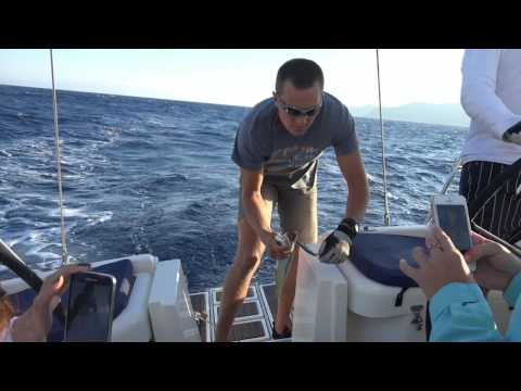 Видео: Яхтинг первый опыт