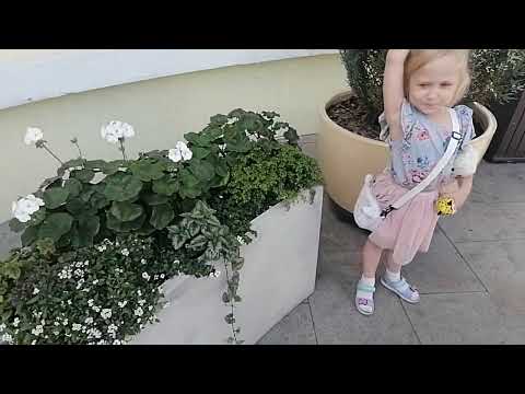 Видео: 🌞Провожаем ЛЕТО🐘Московский ЗООПАРК🍎Едем В ГОСТИ