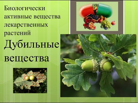 Видео: Дубильные вещества. Биологически активные вещества лекарственных растений
