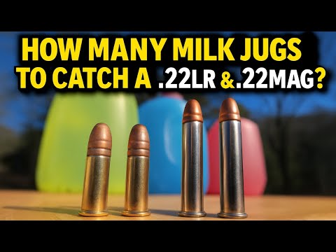 Видео: 22LR против 22 Magnum: никогда бы не догадался