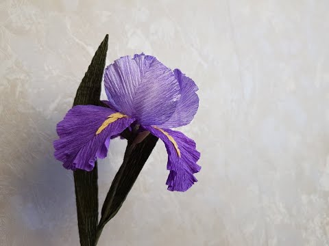 Видео: Ирисы из бумаги как НАСТОЯЩИЕ DIY Mellas