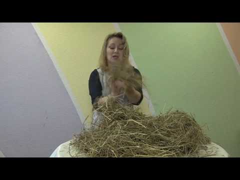 Видео: Поделка из сена "Сова"
