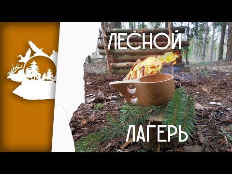 Видео: Строительство Лесного лагеря Восстанавливая после разгрома Сосиски на костре Бушкрафт