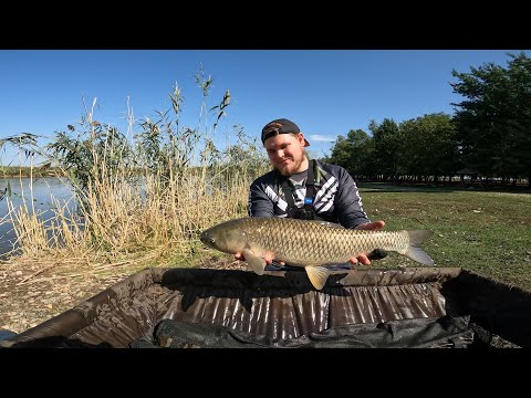 Видео: ВОТ ЭТО КЛЕВ😲ОСЕННИЙ ЖОР КАРПА И АМУРА🔥