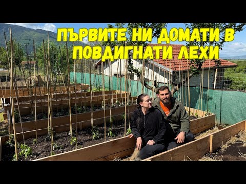 Видео: ЖИВОТ НА СЕЛО: Садим домати в повдигнати лехи и палма в двора | Нови порти и стълби за нашата къща