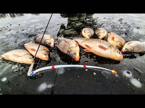 Видео: НОВЫЙ МЕТОД КОСИТ КАРАСЯ / Ловля карася зимой / Зимний карась