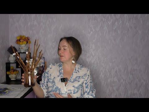 Видео: Не спешите удалять НИЖНЮЮ почку у черенков винограда!  И вот почему