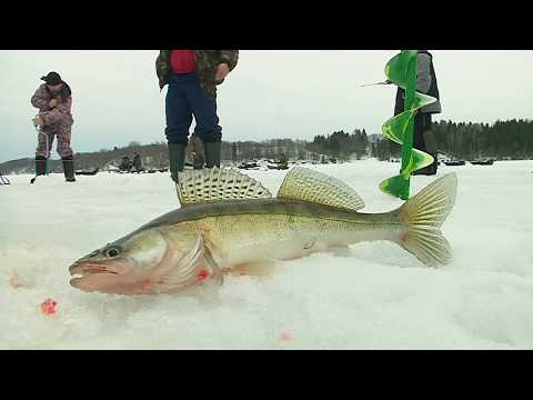Видео: Блесна \ Азбука подледной ловли. Часть 1