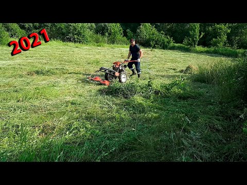 Видео: Неудачный СЕНОКОС МОТОБЛОКОМ! Мотоблоку Фаворит пришёл на помощь трактор Т-25 с сегментной косилкой!