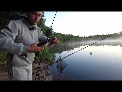 Видео: Рыбалка на Березине. Фидер. ОТДЫХ НА ПРИРОДЕ.