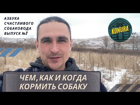 Видео: Кормление собаки. Натуральный или сухой корм? Азбука счастливого собаковода