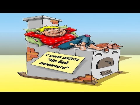 Видео: мультиварка не включается