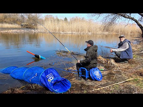 Видео: Рыбалка на ПОПЛАВОЧНУЮ УДОЧКУ на реке!!! Ловля голавля на ПОПЛАВОК и ТЕСТО маховой снастью
