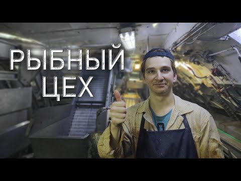 Видео: КАК РАБОТАЕТ ЗАВОД  НА СУДНЕ | НА КАКОЙ ПРОЦЕСС ВСТАТЬ | РАБОТА МАТРОСОМ