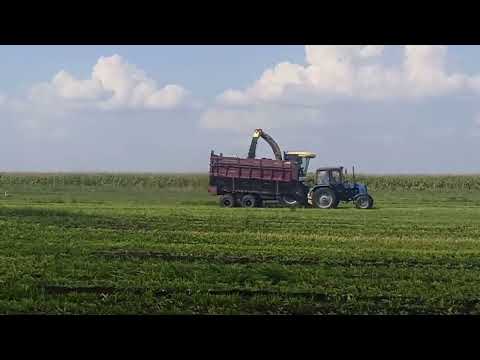 Видео: Уборка сенажа 2022  часть 2
