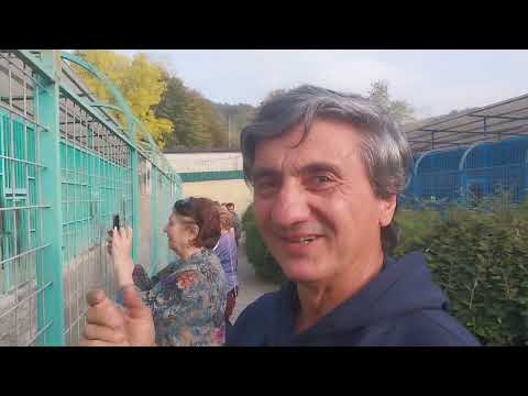 Видео: В зоопарке Нальчика. 3-ая часть / Джабраил Тайсаев