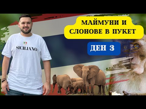 Видео: МАЙМУНИ И СЛОНОВЕ НА О-В ПУКЕТ. РАЗХОДКА ИЗ СТОЛИЦАТА I 60 ДНИ В АЗИЯ - ДЕН 3