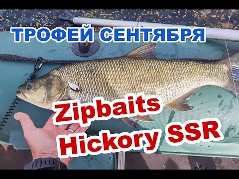 Видео: КРУПНЫЙ ЖЕРЕХ, СЕНТЯБРЬ 2024! ОТЛИЧИЛСЯ Zipbaits Hickory SSR