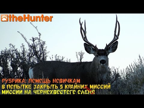 Видео: theHunter Classic/Рубрика:помощь новичкам/чернохвостый олень - миссии ч.3/multiplayer