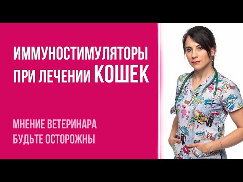 Видео: Когда иммуностимуляторы помогают кошке выздороветь