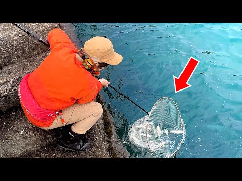 Видео: Японка вылавливает тамо много рыбы в рыбацком порту!