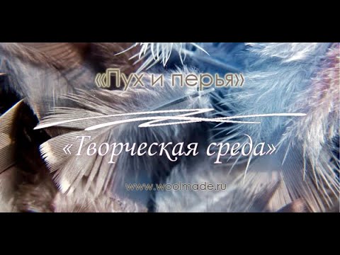 Видео: Пух и перья