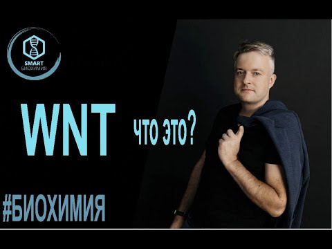 Видео: Биохимия: Wnt - катениновый путь