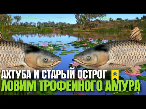 Видео: ОЧЕРЕДНОЙ ПОХОД НА АМУРА | АХТУБА И СТАРЫЙ ОСТРОГ| Русская Рыбалка 4 [PC 2018]