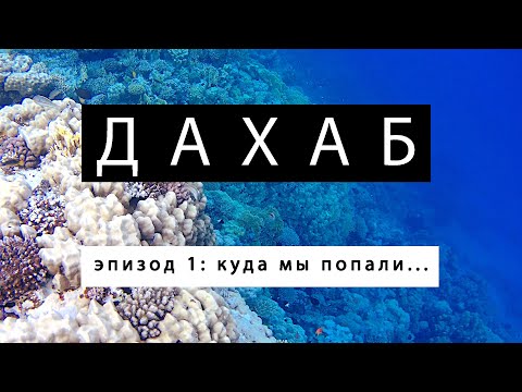 Видео: Египет. Дахаб. Серия 1.  Куда мы попали...