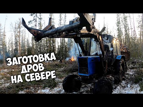 Видео: Заготовка дров в тайге на зиму / СУББОТНИКИ как в Советские времена