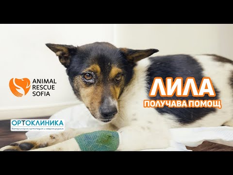 Видео: ЛИЛА получава ПОМОЩ
