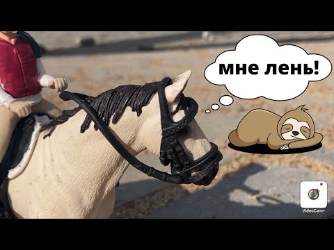 Видео: Типы лошадей Шляйх под седлом!